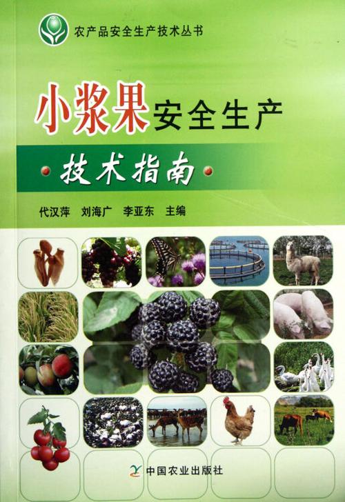 小浆果安全生产技术指南/农产品安全生产技术丛书